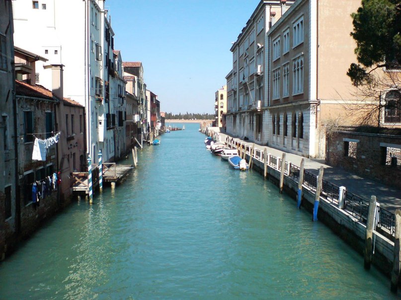 Марина Савкина | Сергиев Посад