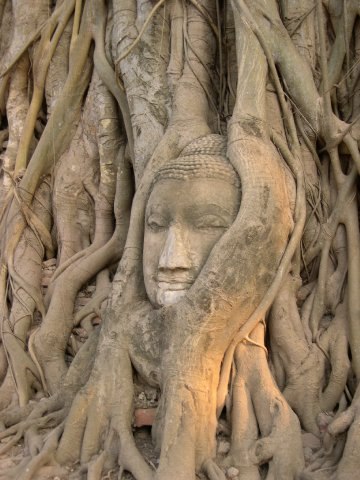 Голова ))))) | Екатеринбург