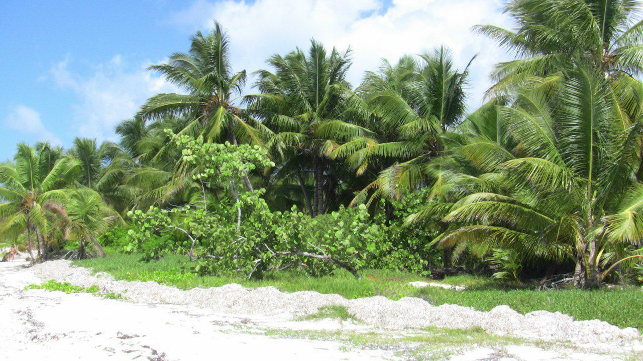 Алексей Антонов | Valencia