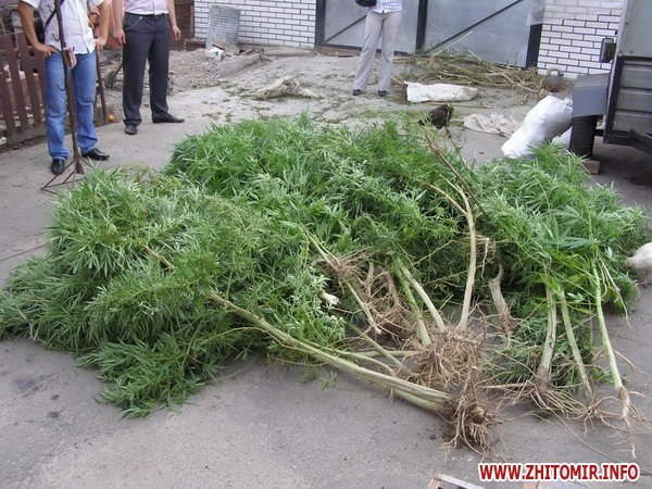 Андрей Дудинов | Бородино