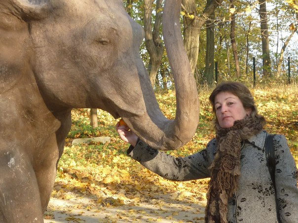 №3, Сергей Казанский №3, Сергей Казанский