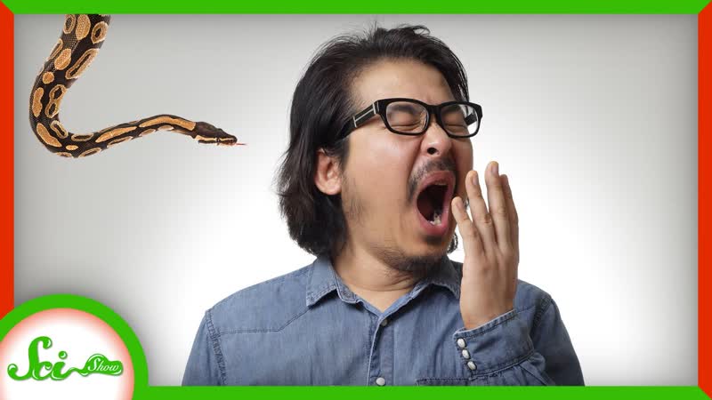 Maybe Yawning Protects