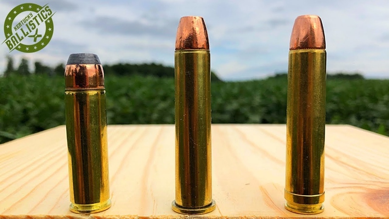 500 SW Magnum vs 45 70 vs 450