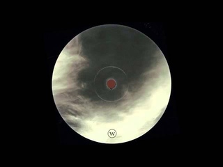 B1 FIZGIG   ASH GRAY WET CELLAR RECORDS