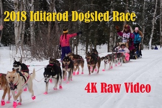 2018 Iditarod Dogsled Race Video
