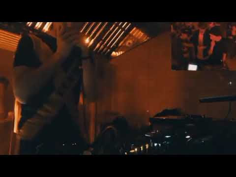 Dubharp Panda Dub (harmonica