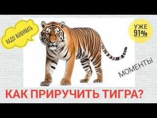 ТИГР ИДЕТ К СВОЕМУ ФИНИШУ. ГОТОВ НА 91% . ( Моменты вышивки)