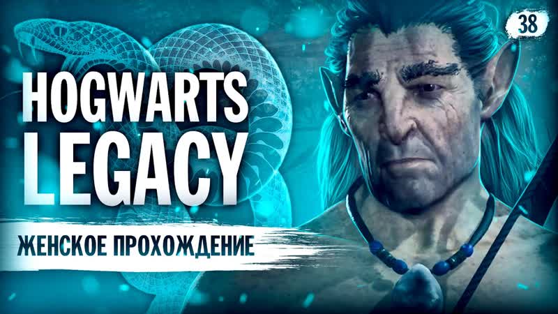 ВСТРЕЧА С КЕНТАВРАМИ HOGWARTS: LEGACY (СЛИЗЕРИН), 38 Hogwarts Legacy