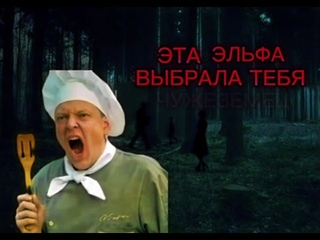 эта эльфа выбрала тебя, чужеземец