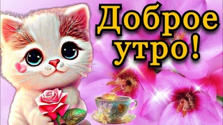 💗☕️Доброе Утро! Хорошего Дня!🌹Заряд Позитива на Весь День!