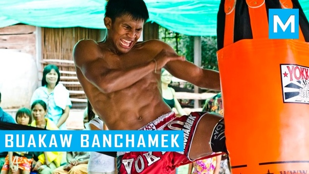 Buakaw Banchamek Hardcore Muay Thai Training, Muscle