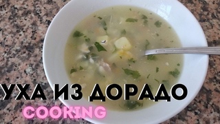 Уха из дорадо/ Что мы едим в Турции