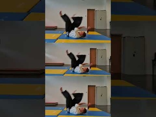 Aikido - Rolling Breakfall - Stunts #Shorts