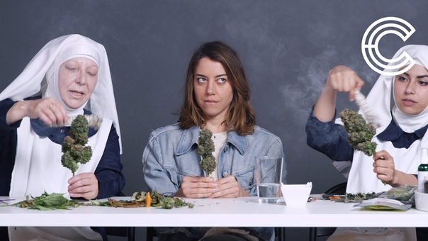 Aubrey Plaza Smokes Pot with the Weed