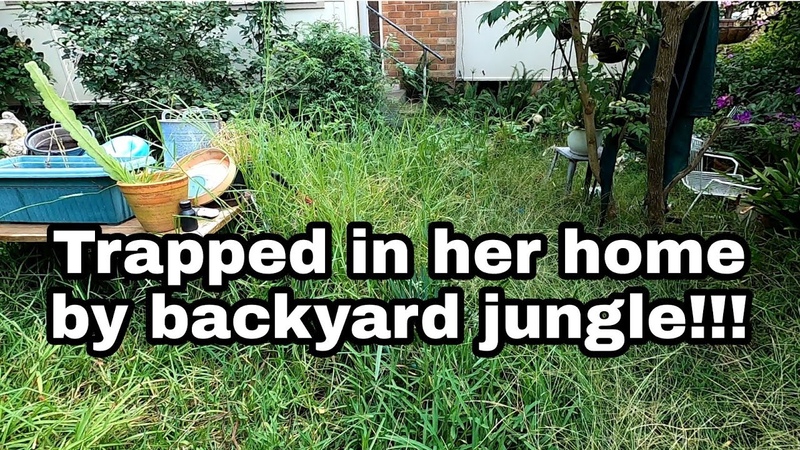 Jungle backyard rescued 3 videos in 1 Mowing Tall