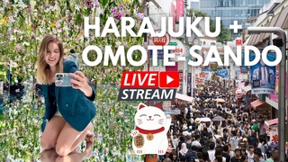 PART 2: Pop Culture Overload In Tokyo! | LIVE From Harajuku + Omote Sando