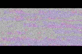 Серце Дженніфер та The Drankerz у Львові ()