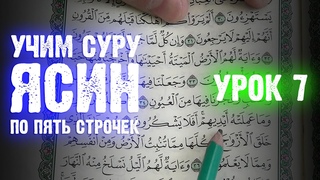 Урок 7 - Учим 36-ю суру “ЯСИН“ (по пять строчек)