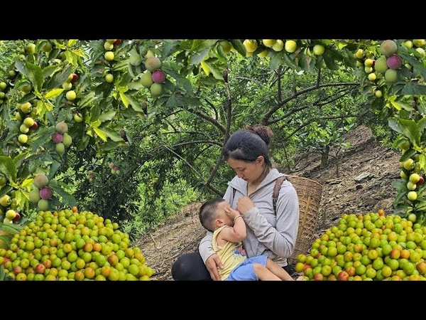 Life in the forest of a 17 year old single mother: How to Pound Corn Harvesting