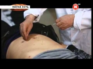 Наш второй мозг - живот.