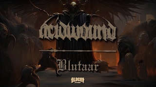 ACIDWOUND - BLUTAAR OFFICIAL LYRIC VIDEO (2024) SW EXCLUSIVE