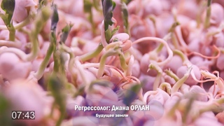 Беседы с Высшим Я. Будущее земли / Регрессолог  - Диана Орлан