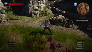 Ведмак  дикая  охота  тест  ps4