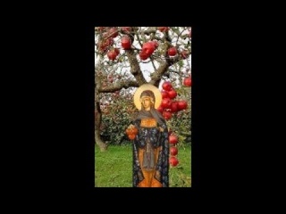 ВСЕХЪ СЪ ПРАЗДНИКОМЪ - ПРЕОБРАЖЕНИЕМЪ ГОСПОДНИМ Ъ.