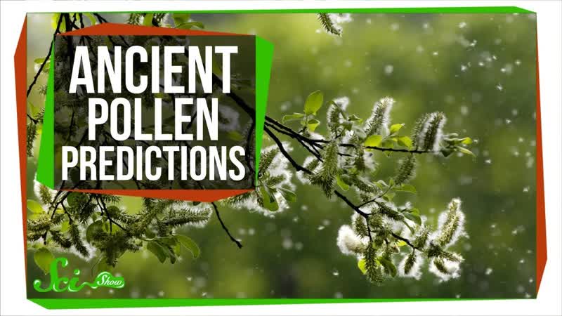 How Ancient Pollen Can Predict The