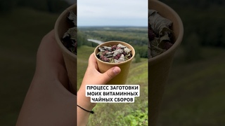 Этой осенью у меня никто не останется без вкуснейшего полезного чая