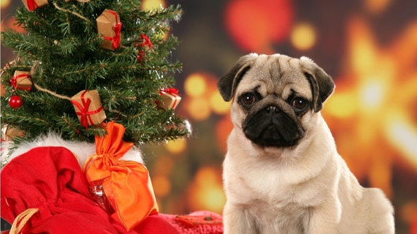 Christmas Compilation NEW