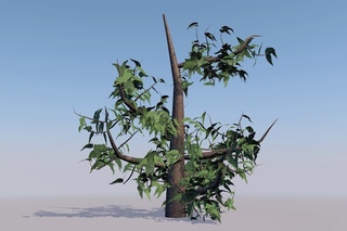 Growing a tree using hair in Cinema 4D - Tutorial Part 1