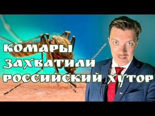 Северная Корея запустила ядерную программу | Снова ИГИЛ и Талибы | Ураган Ида
