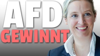 💥EIL: AfD siegt DOPPELT vor Gericht