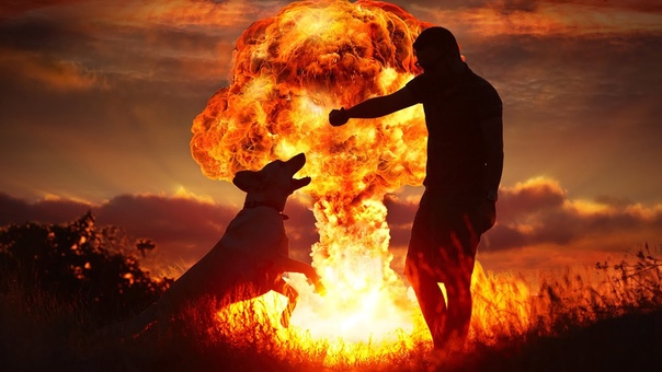 MANS BEST FRIEND, 60 Seconds,