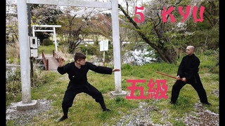 五級 Bujinkan 5 kyu / Программа 5 кю