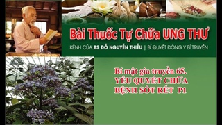 Bí mật gia truyền 65. YẾU QUYẾT CHỮA BỆNH SỐT RÉT  P1