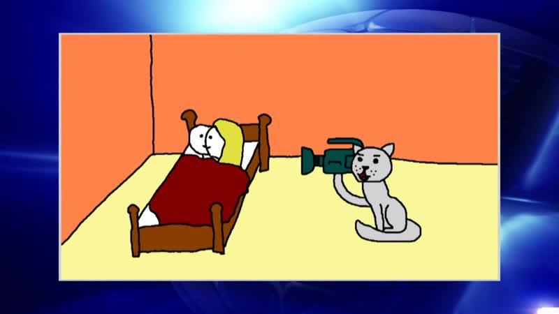 КВН Дайте посмеяться 2020 Премьер лига Первая 1, 2