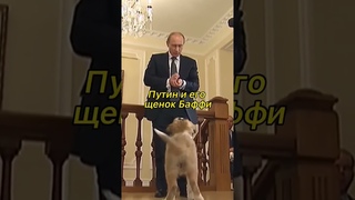 Путин и его щенок Баффи 🥺 #путин #shorts