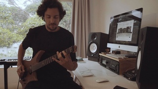 .strandberg* “Original“ pickups