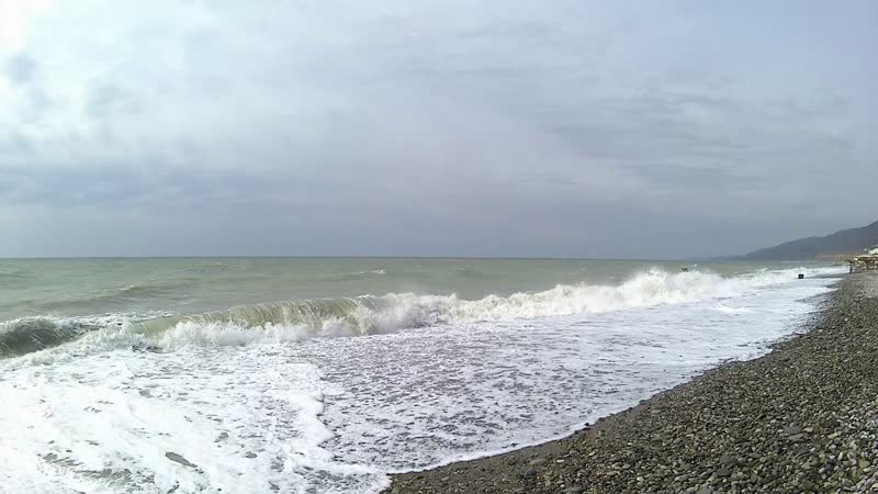 Лазаревское море сегодня 11 Марта 2019, Жизнь в