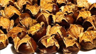 Жареные Каштаны - экзотическая изюминка праздничного стола. | Roasted chestnuts.