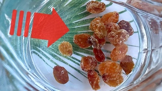 BACITE TABLETE! Ovo lijei kosti, srce, vid, jetru i crijeva!