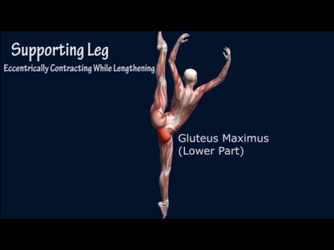How To Developpe A La Seconde Ballet Muscle Anatomy Easy