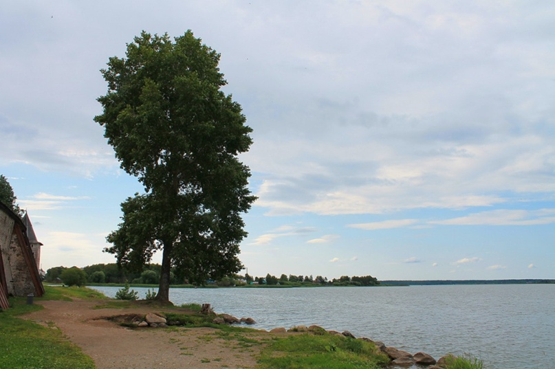 Анечка Бочарова |