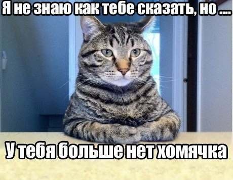 Александр Великий | Владимир