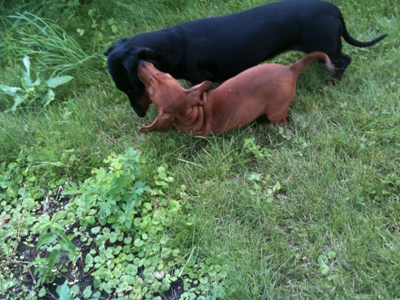 Алёна Самойленко | Москва