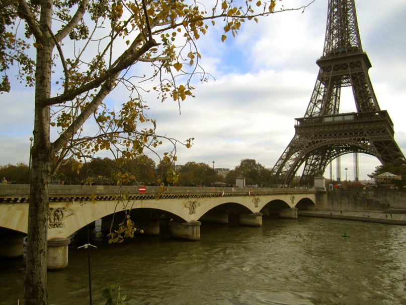 Нинель Горбунель | New York City