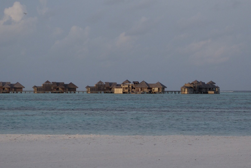 Олечка Покушалова |