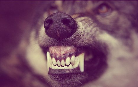 Роман Камынин | Воронеж